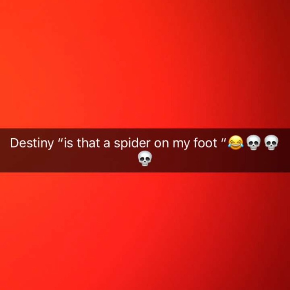 Meet your Posher, Destiny